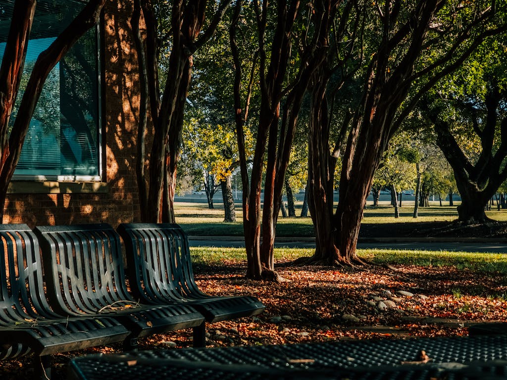 Things to Do Near Coffey Park